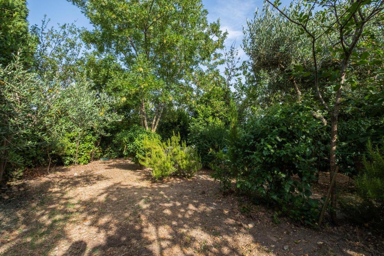 La Sosta Del Pellegrino Apartment Sorano  Luaran gambar